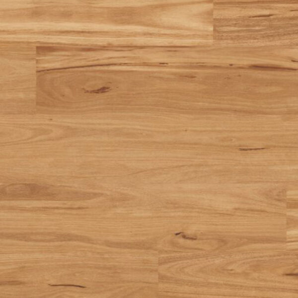 Blackbutt 1 Strip Solid Hardwood Flooring